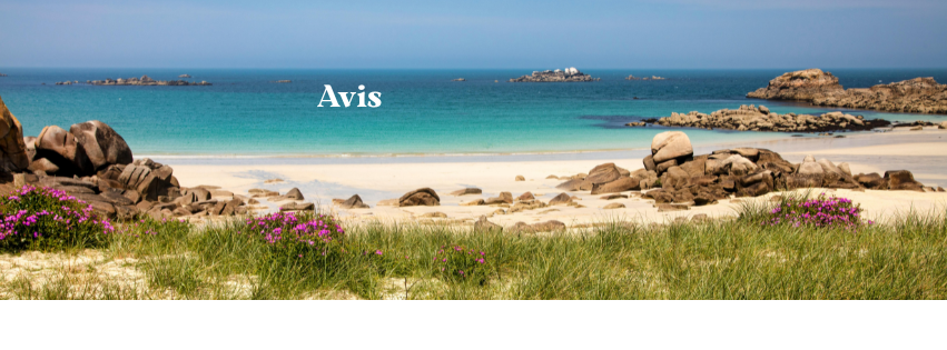 Avis